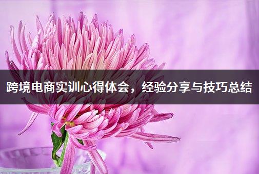 跨境电商实训心得体会，经验分享与技巧总结-1