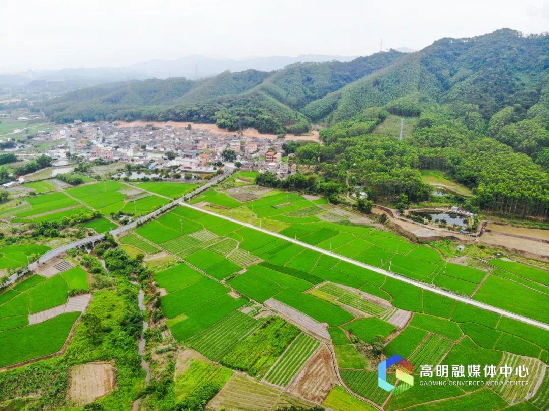 优秀村庄发展规划案例_借鉴优质村庄规划经验_村庄规划经验做法