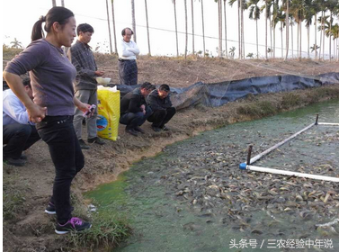 致富泥鳅养殖_致富经泥鳅_致富经泥鳅养殖视频全集