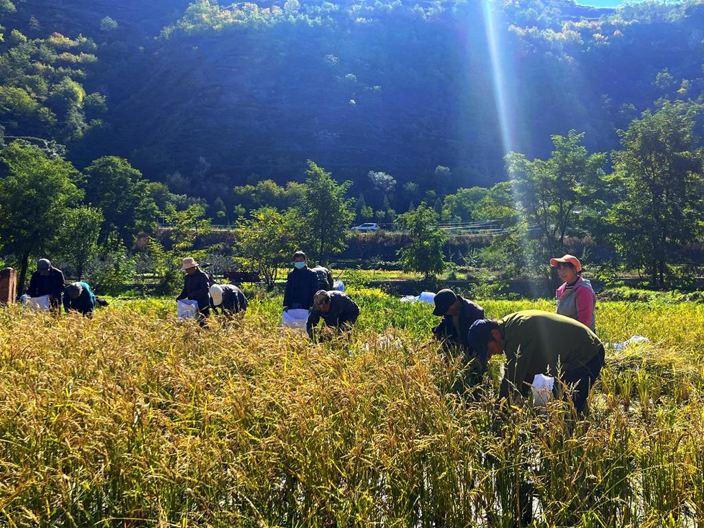 优秀村庄规划案例_村庄借鉴优质规划经验材料_借鉴优质村庄规划经验