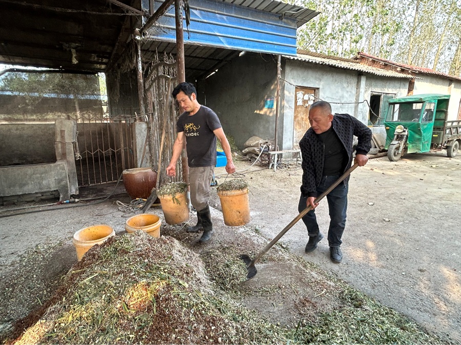 养牛“父子兵” 念好“致富经”