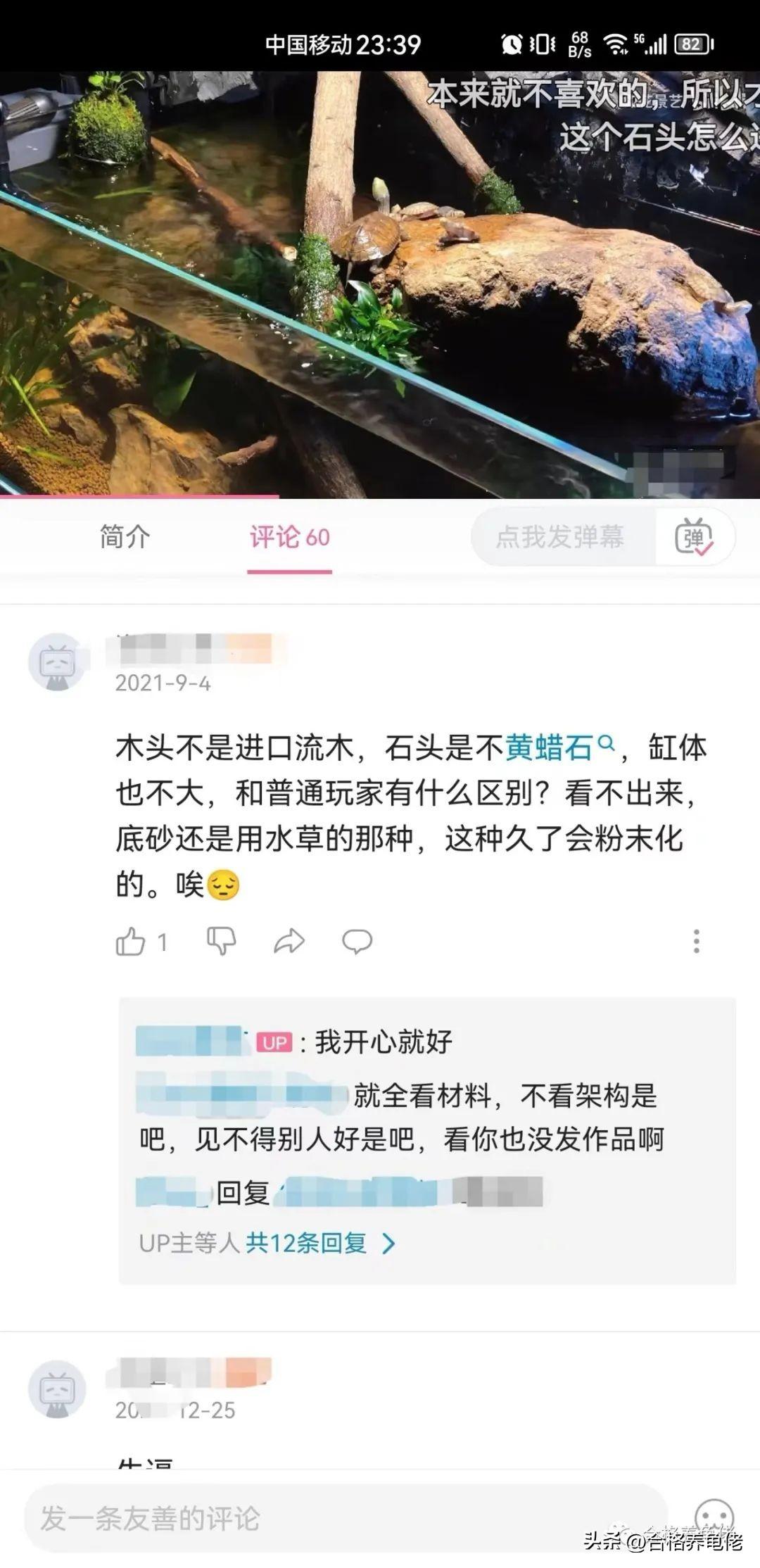 致富经养乌龟_养龟致富视频_致富经养龟