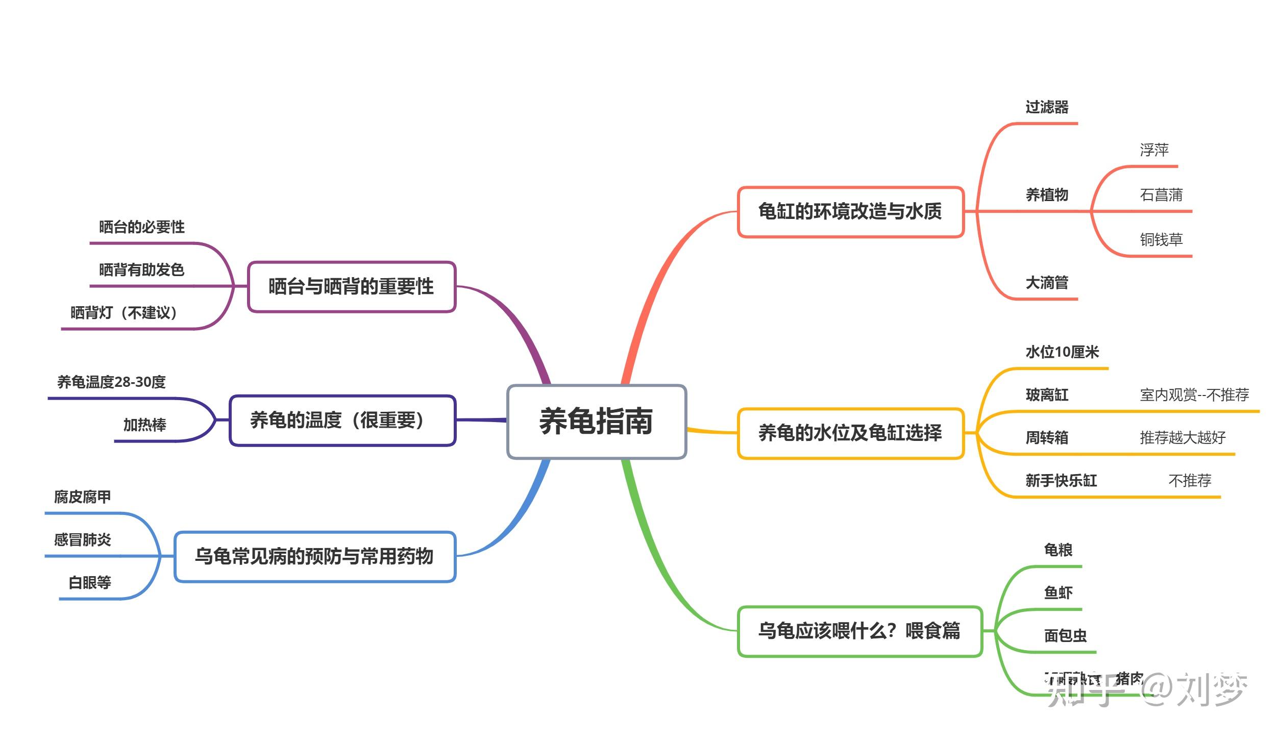 养龟必读：新手养龟入门指南（纯干货）