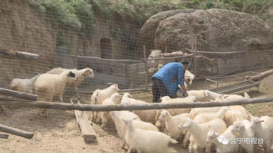 致富农民劳动的精神_致富农民有情怀打一成语_农民致富经