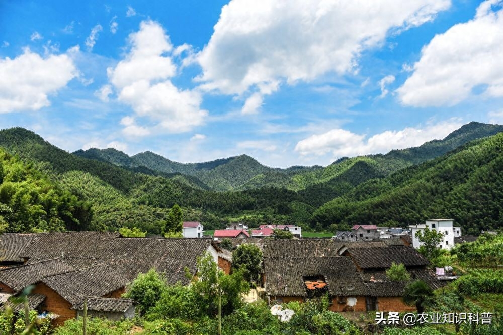 失地农民的尴尬，守着金山要饭吃，换头脑看黄山失地农户致富经