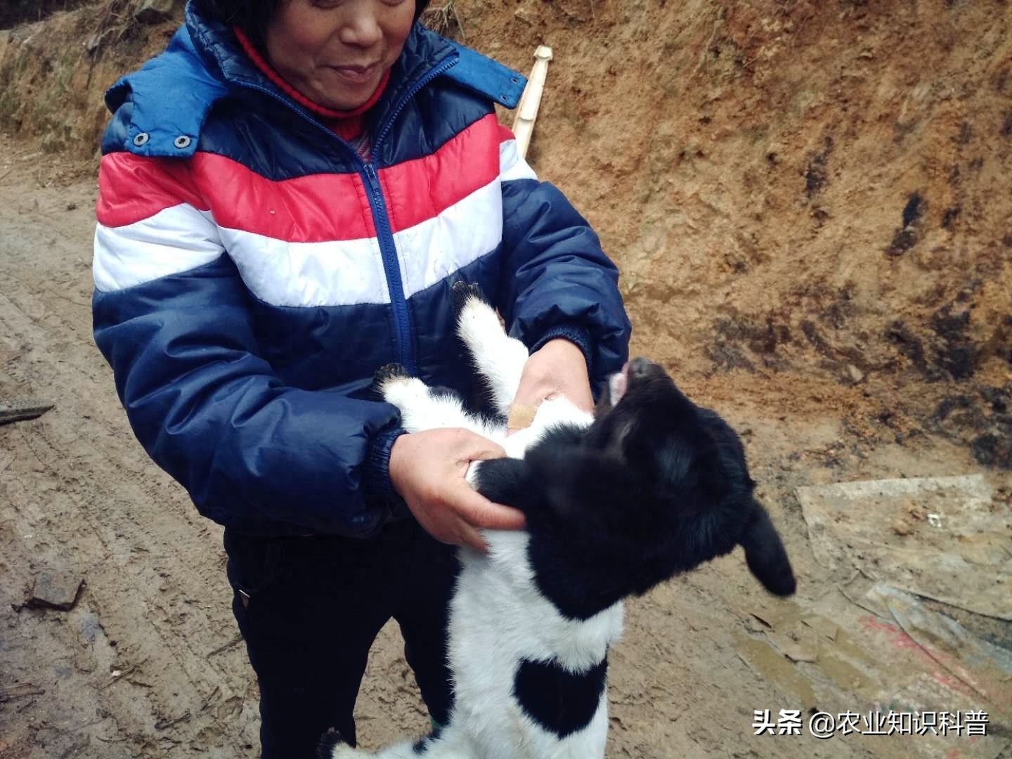 失地农民的尴尬，守着金山要饭吃，换头脑看黄山失地农户致富经