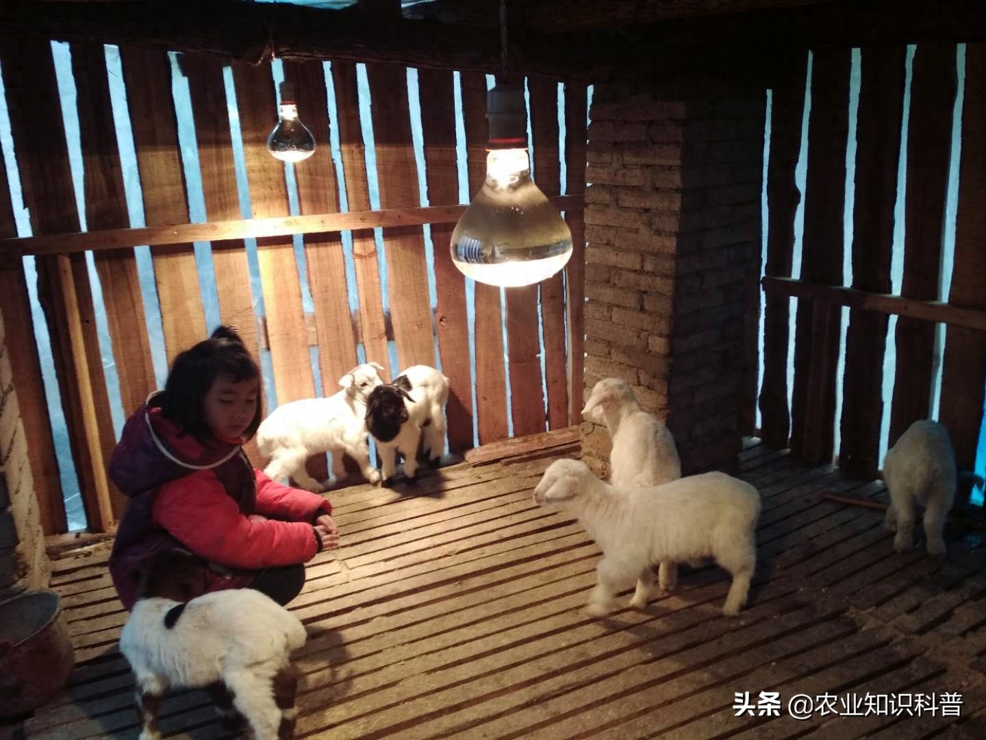 失地农民的尴尬，守着金山要饭吃，换头脑看黄山失地农户致富经