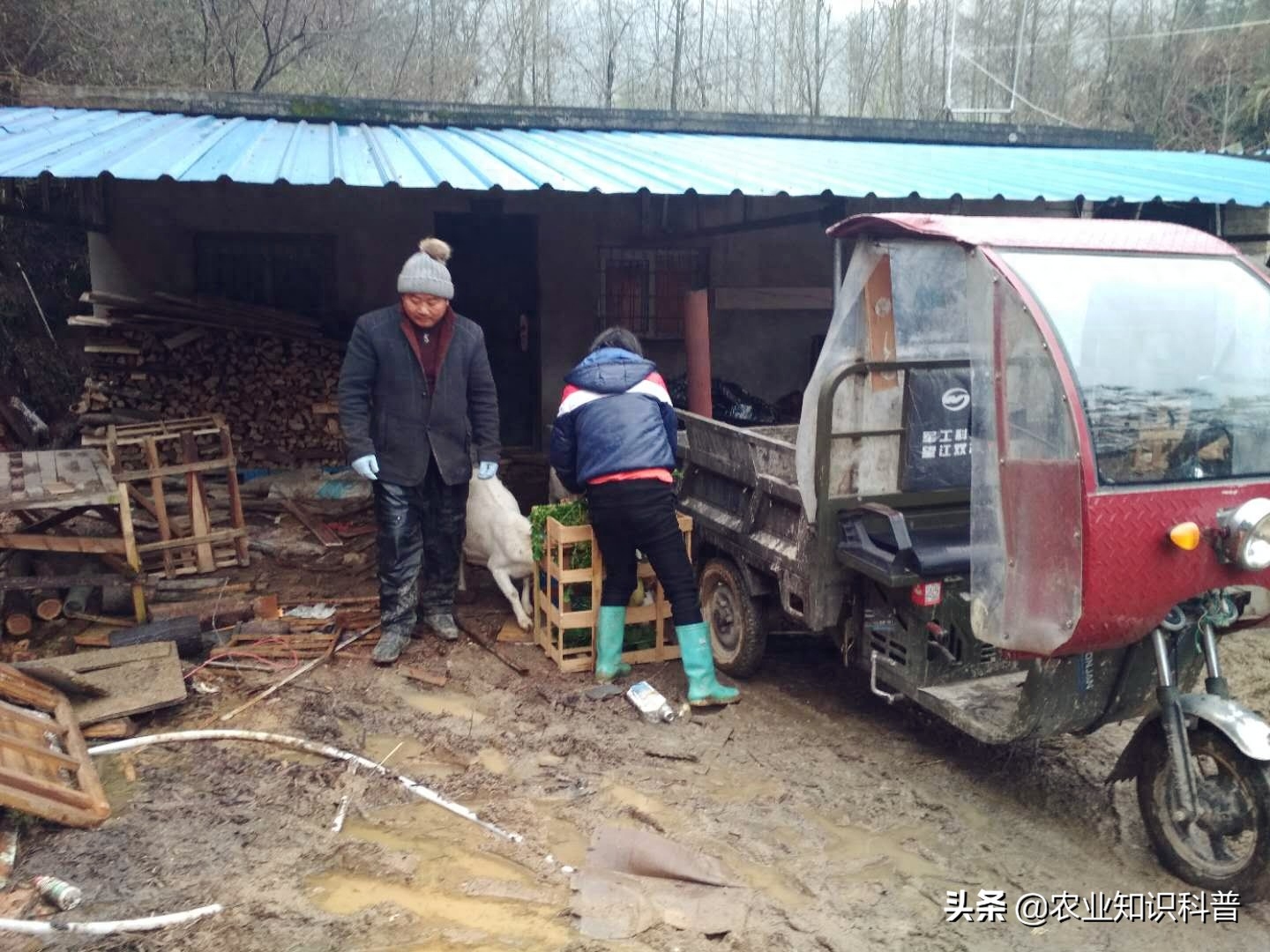 失地农民的尴尬，守着金山要饭吃，换头脑看黄山失地农户致富经