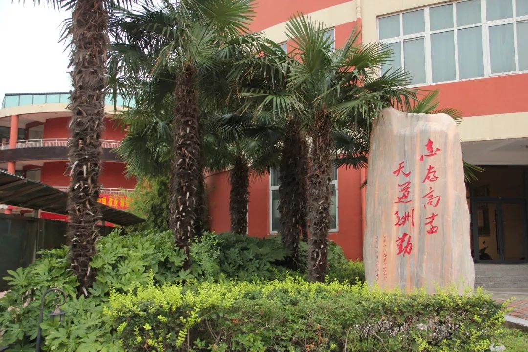 创建新优质学校的经验_新优质学校创建心得体会_创建新优质学校经验介绍