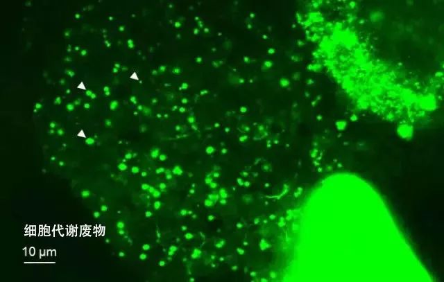 护肤经验分享心得_护肤心得十年经验怎么写_十年护肤经验护肤心得