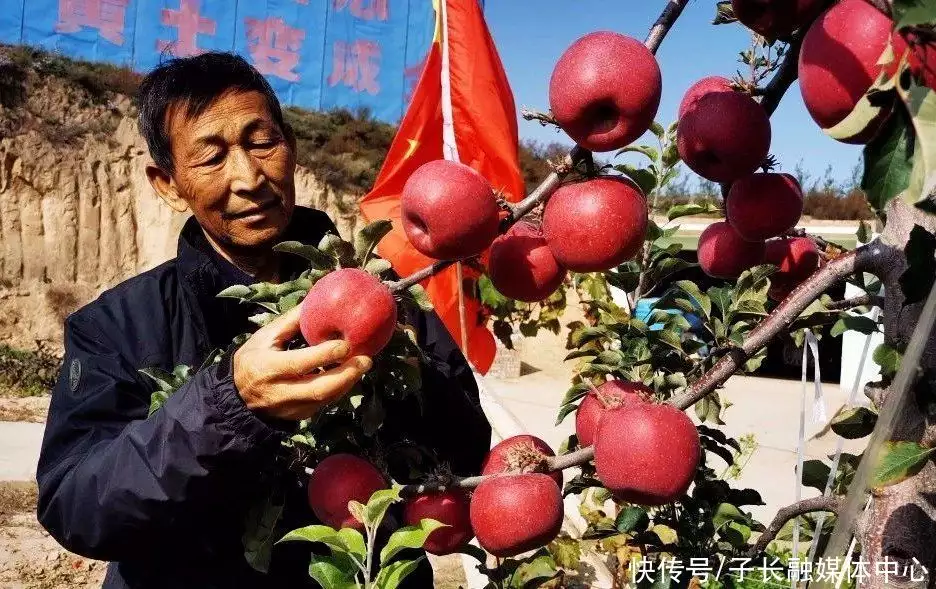 中央致富频道视频_致富经中央_中央致富经在哪个频道