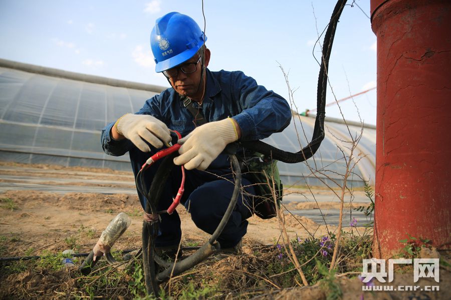 宁夏脱贫故事：红河谷农民的种菜致富经