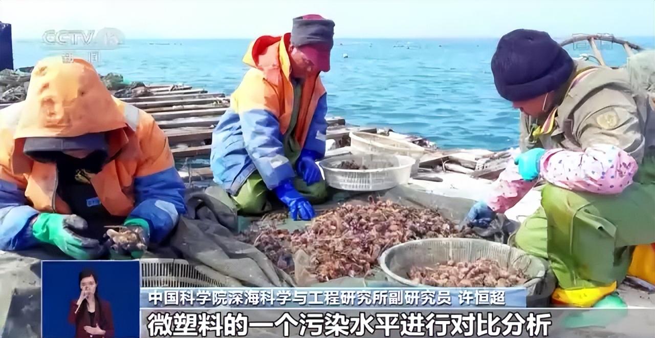 海沟经验心得_海沟经验心得_海沟经验心得