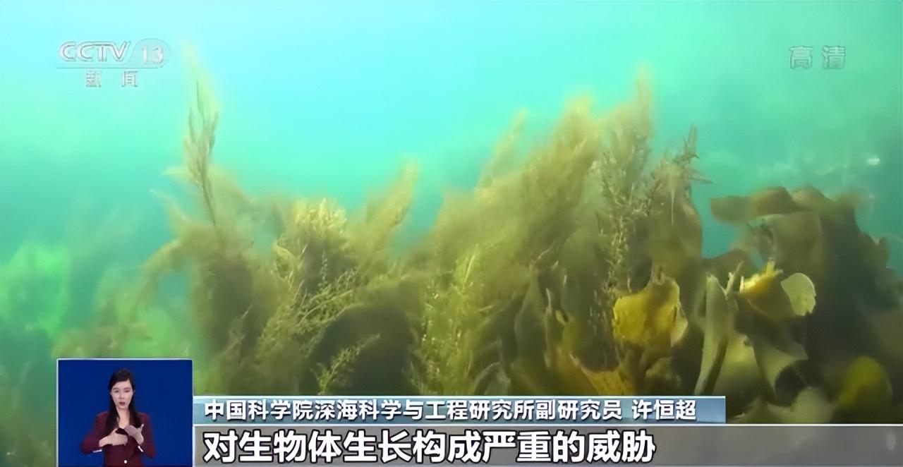 海沟经验心得_海沟经验心得_海沟经验心得