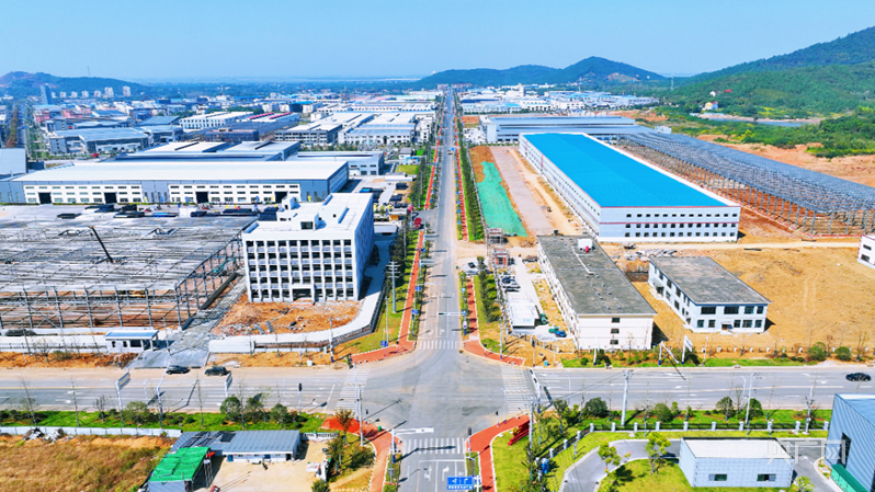 致富鱼南岙村_致富经鱼_致富鱼游出产业振兴路