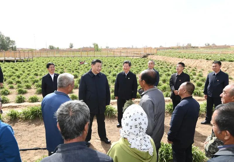 致富种植创业项目_致富经种植_致富种植糖料蔗文案怎么写