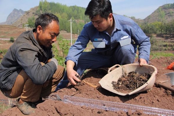 种植致富经_致富种植业_致富种植糖料蔗文案怎么写