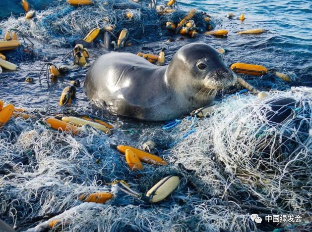 海沟经验心得_海沟经验心得_海沟经验心得