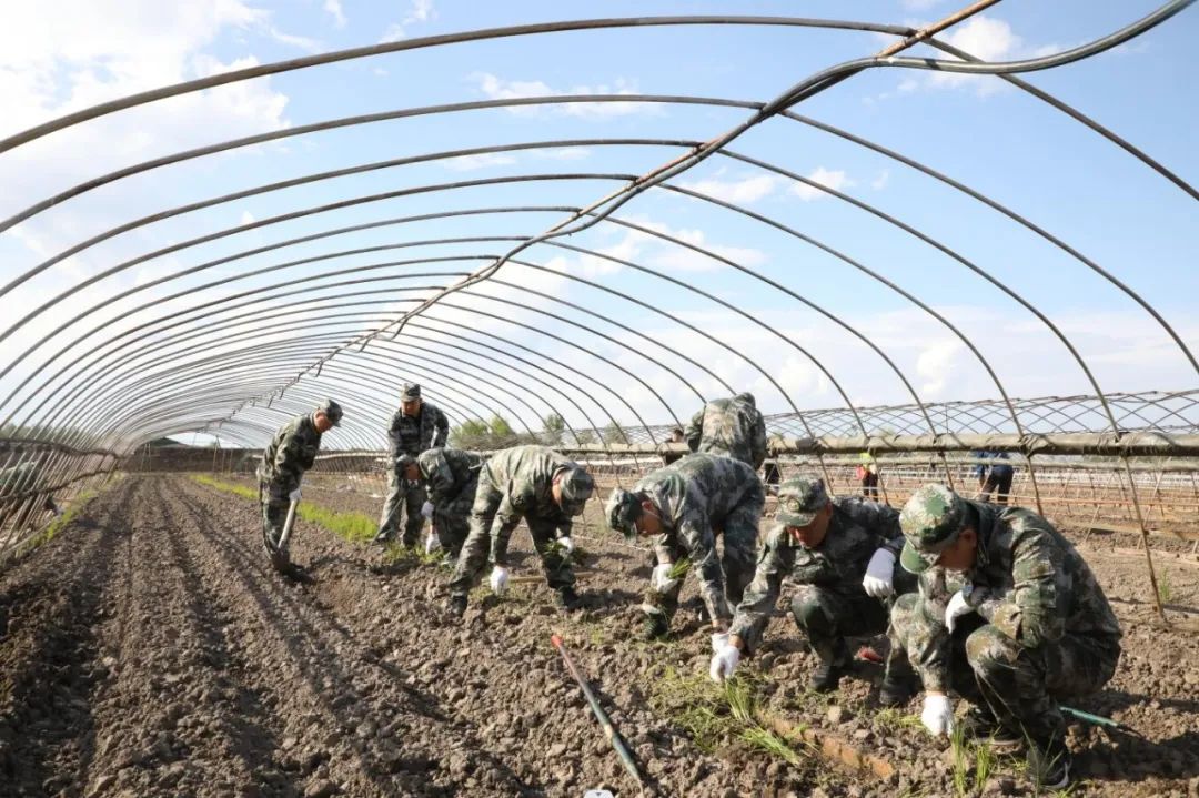 优质粮食工程经验交流材料_优质粮食工程典型经验交流_优质粮食工程总结