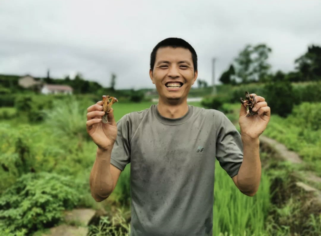 小康圆梦｜一位稻虾种养户的“生意经”：养虾有“稻”，致富有方