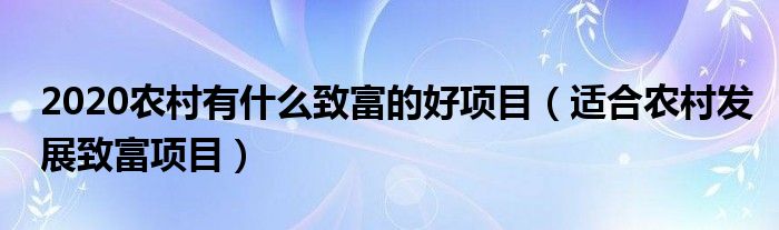 致富项目小本生意_致富经项目_室内种植致富项目