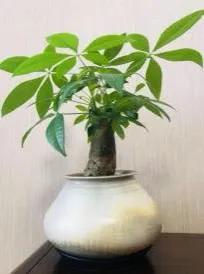 网课经验心得_心得体会网课_网上课程心得