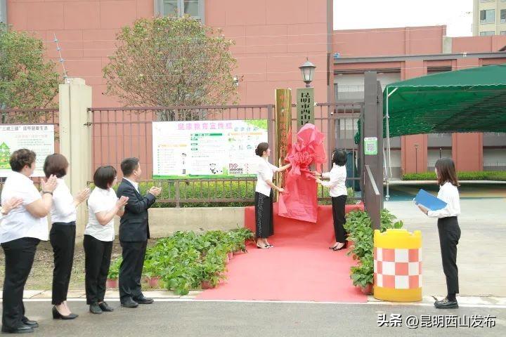 幼儿园办园经验分享_优质幼儿园的办园优势亮点_幼儿园优质办学经验