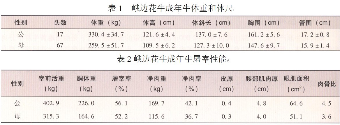 养牛致富经_致富养牛牛人_致富经养牛