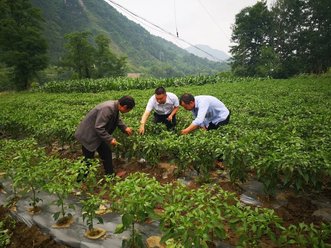 优秀经验做法的借鉴_典型经验做法范文_优质事件上报经验做法