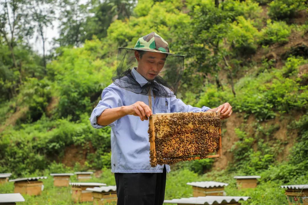 优质事件上报经验做法_典型经验做法范文_优秀经验做法的借鉴