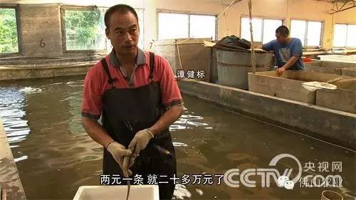 致富经餐饮创业_致富餐饮加盟项目_餐饮致富经