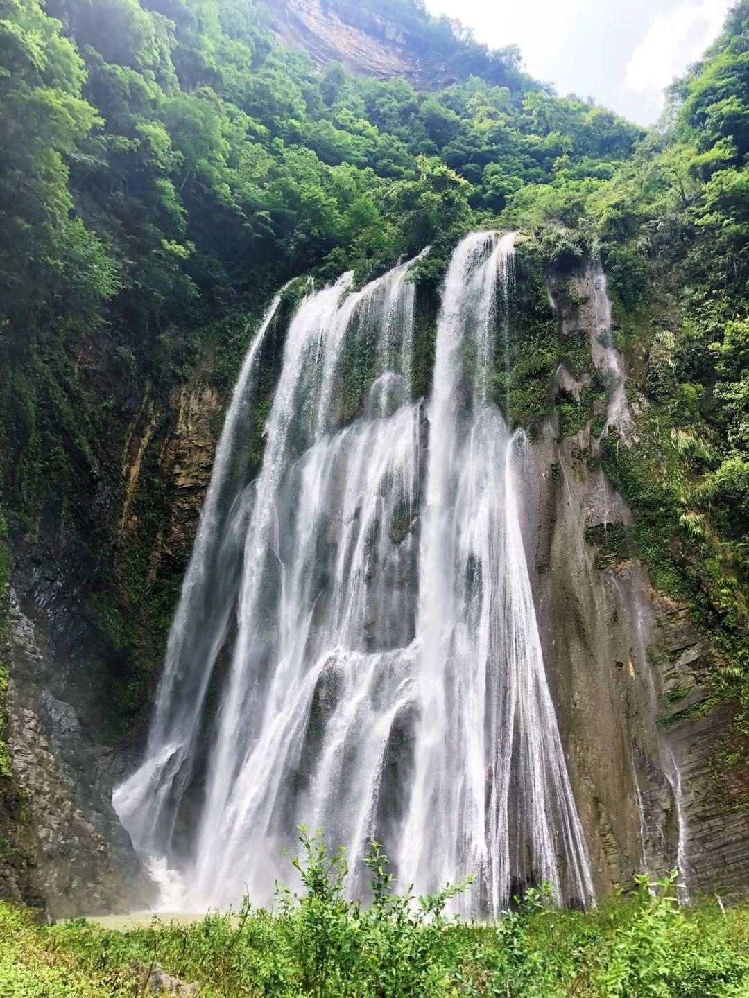 养致富经_养蜜蜂致富_怎样去下眼袋农村养什么致富