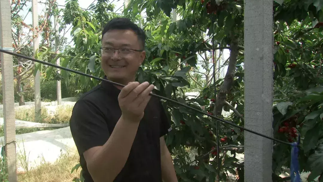 陕西农林卫视致富故事会_陕西农林卫视致富经_陕西农村广播致富大赢家回放