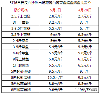 成鱼普遍缺货，养殖户抢着放苗！今年鲫鱼草鱼有望冲新高价？ ​但这些风