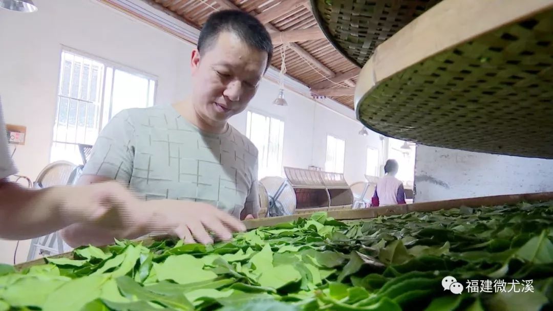 致富种植尤溪项目有哪些_尤溪农产品_尤溪种植致富项目