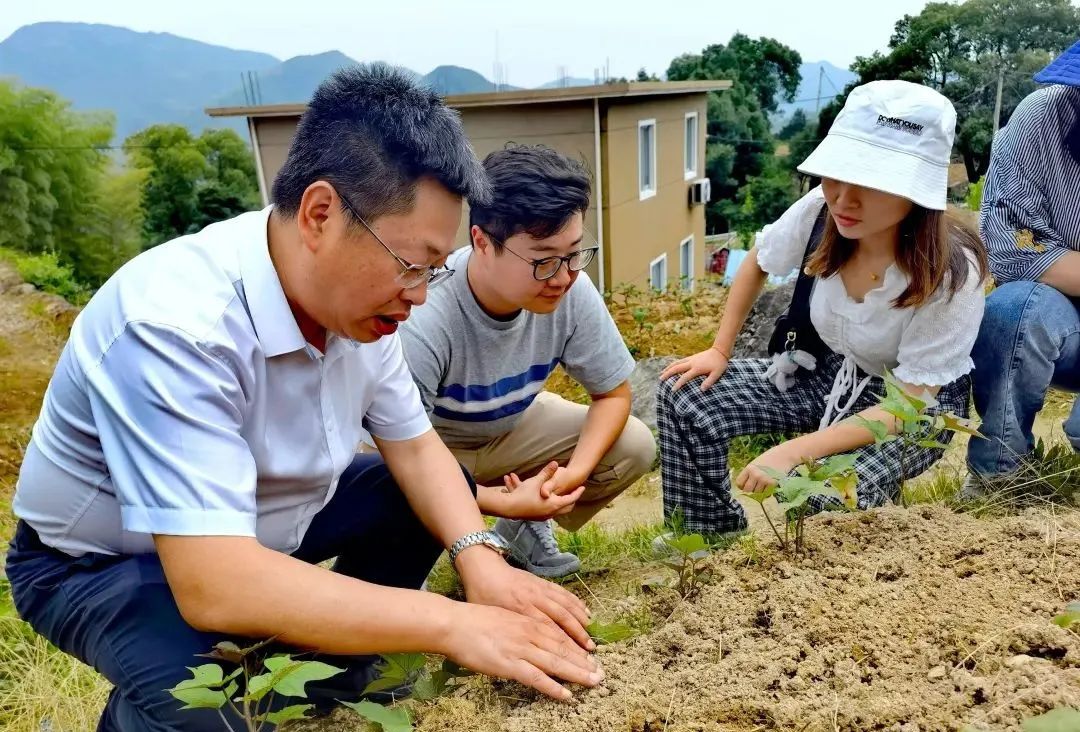 尤溪农产品_尤溪种植致富项目_尤溪县富农食用菌专业合作社