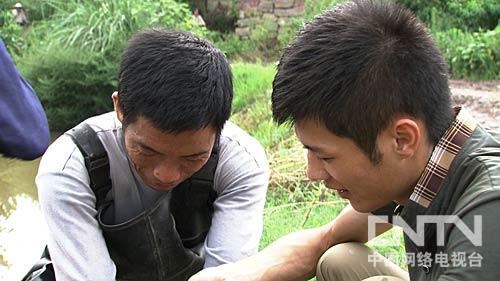 致富泥鳅养殖_致富经泥鳅养殖_2016致富经养泥鳅