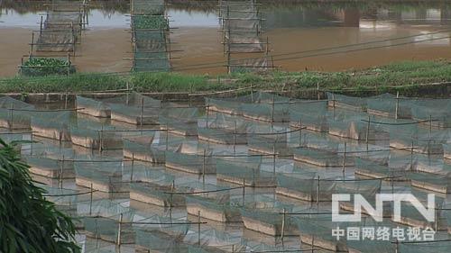 致富经泥鳅养殖_2016致富经养泥鳅_致富泥鳅养殖