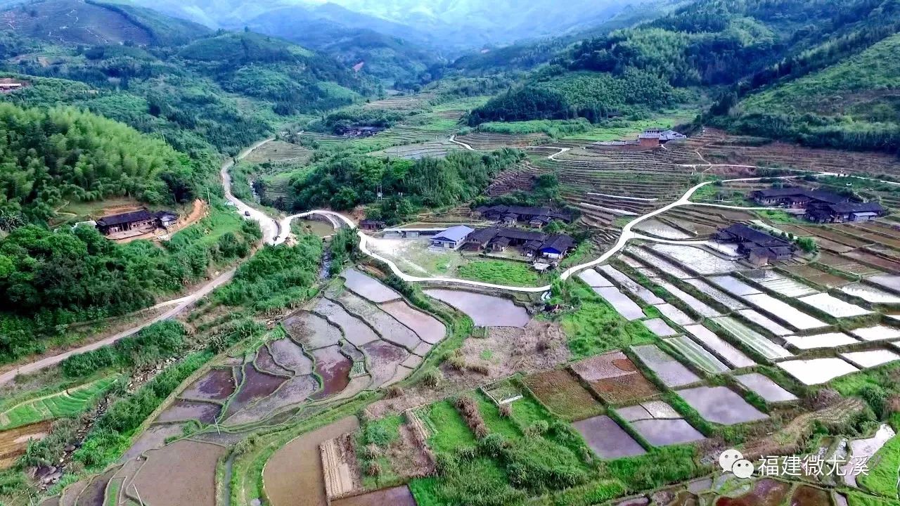 尤溪县富农食用菌专业合作社_尤溪种植致富项目_尤溪农产品