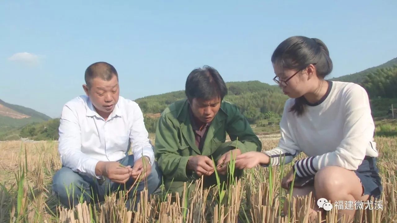 尤溪农产品_尤溪种植致富项目_尤溪县富农食用菌专业合作社