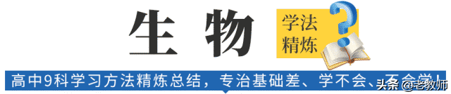 优质高中生学习经验_高中学生经验分享发言稿_高中优秀学生经验分享