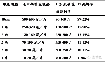 鲮鱼养殖技术视频_鲮鱼养殖最新技术视频_华鲮鱼养殖技术