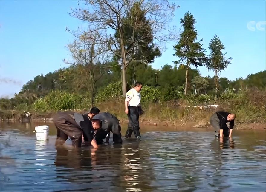 致富养殖水坑项目招标_致富养殖水坑项目介绍_水坑养殖致富项目