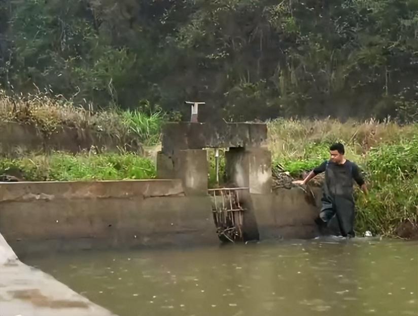 水坑养殖致富项目_致富养殖水坑项目招标_致富养殖水坑项目介绍