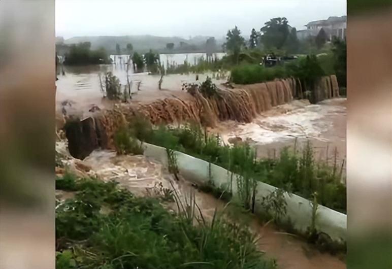 水坑养殖致富项目_致富养殖水坑项目招标_致富养殖水坑项目介绍