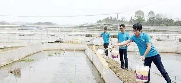 致富养殖水坑项目简介_水坑养殖致富项目_农村致富养殖