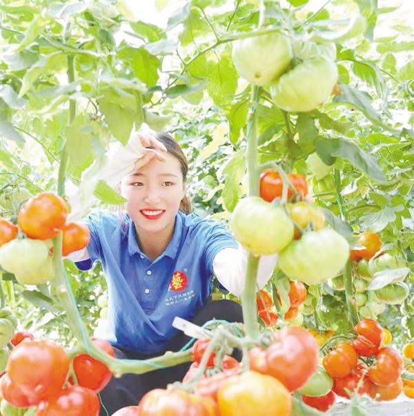 兰花致富经_养兰致富_城固种植兰花致富