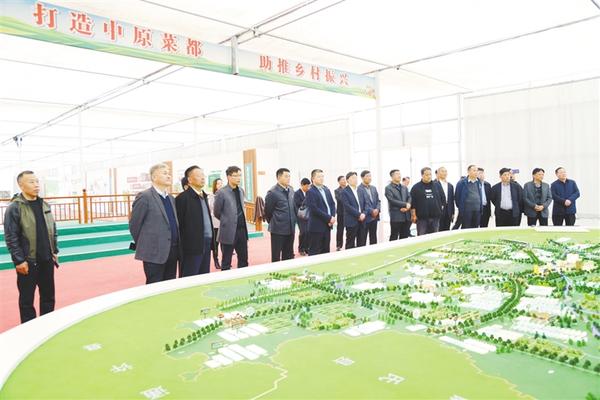 兰花致富经_养兰致富_城固种植兰花致富