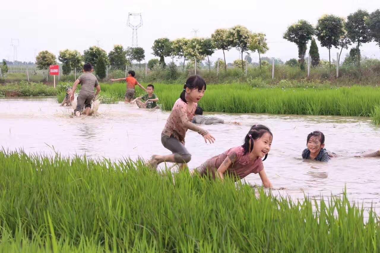 致富养殖水坑项目招标_水坑养殖致富项目_致富养殖水坑项目介绍