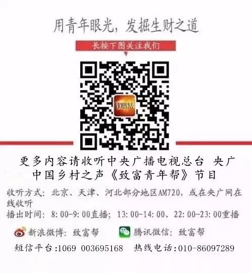 小型冬瓜栽培技术视频_迷你冬瓜种植致富_迷你小冬瓜种植技术视频